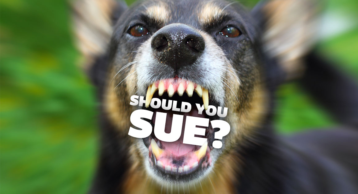 Should you sue for a dog bite?